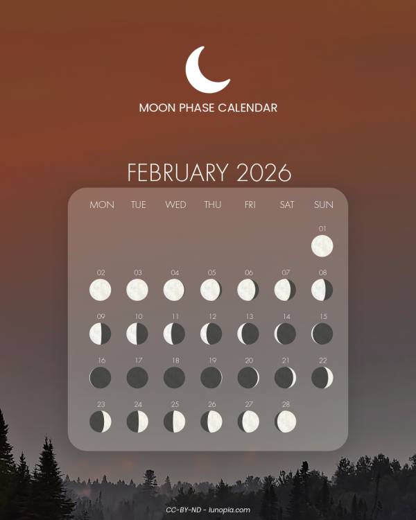 Moon phase calendar february 2026