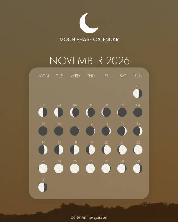 Moon phase calendar November 2026