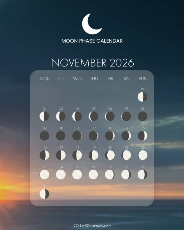 Moon phase calendar November 2026