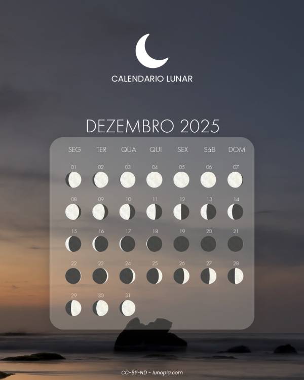 Calendário lunar dezembro 2025