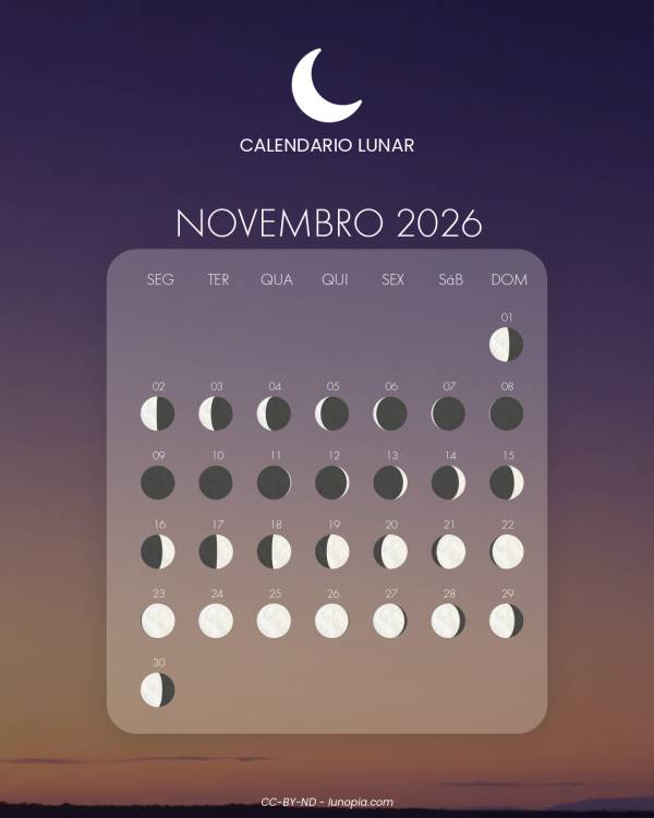 Calendário lunar novembro 2026