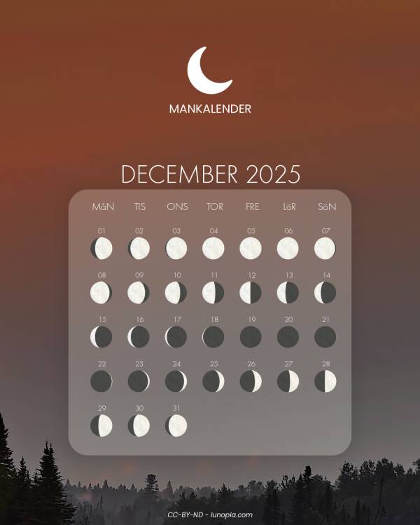 Månkalender december 2025