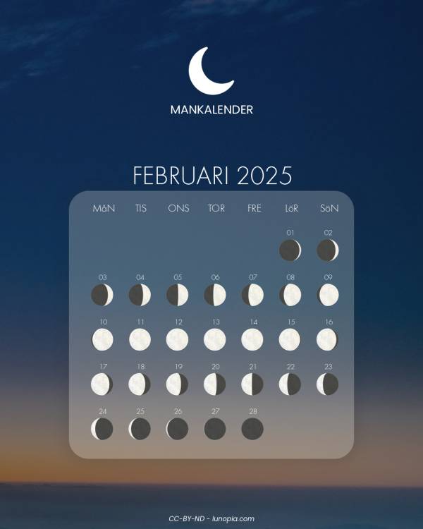 Månkalender februari 2025