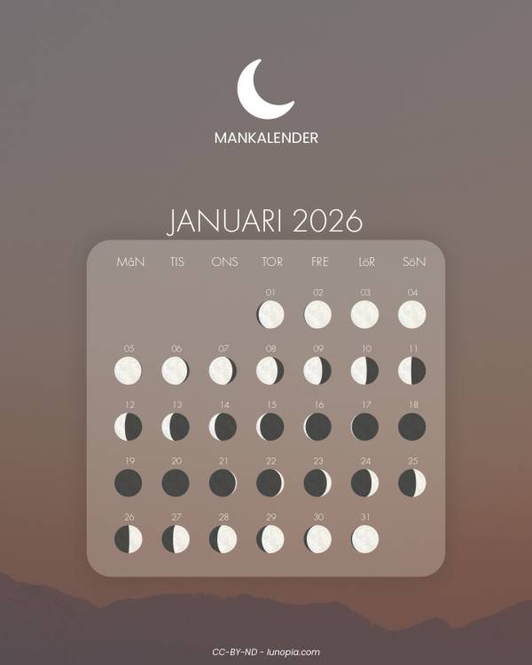 Månkalender januari 2026