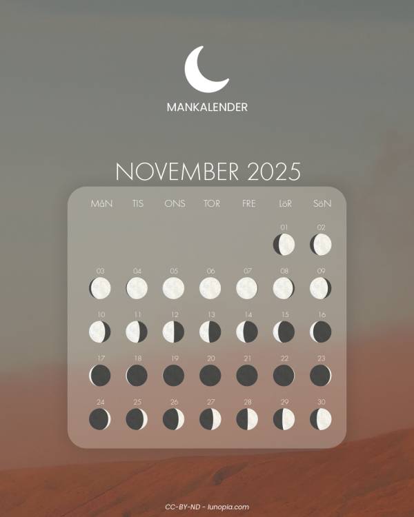 Månkalender november 2025