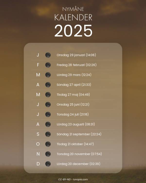 NymÄnekalender 2025