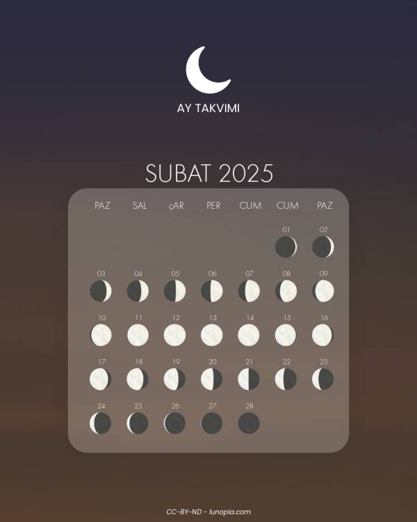 Ay takvimi şubat 2025